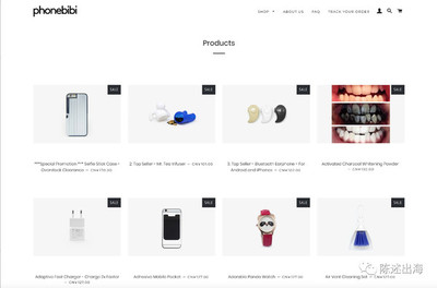 跨境电商独立站 模式深度解析与运营推广新机遇